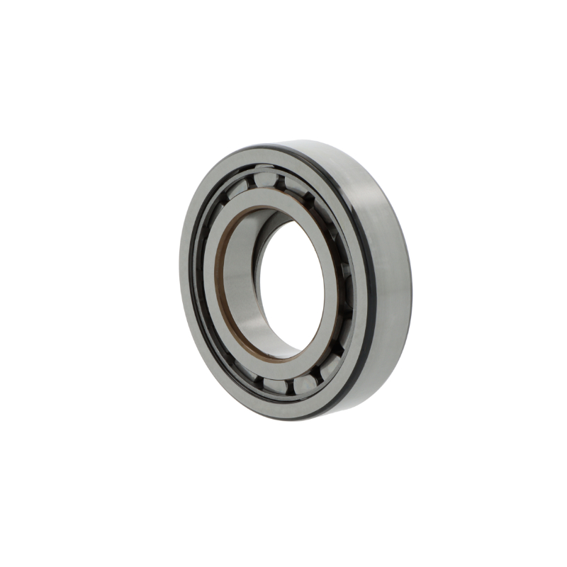 Picture of BC1-0313 SKF